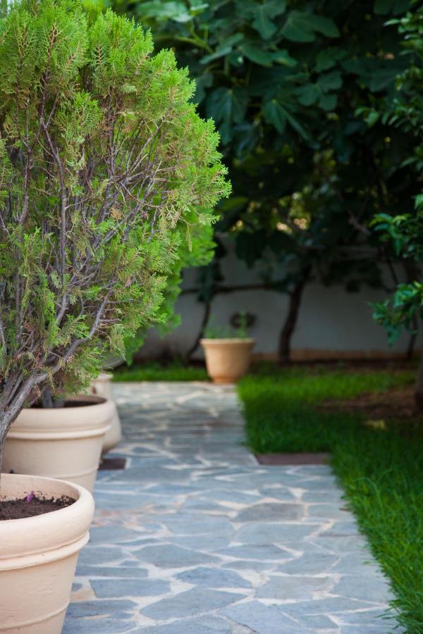 Villa Areti Dhorizáta Εξωτερικό φωτογραφία